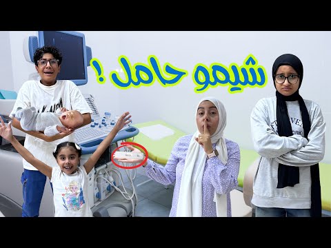 شيمو حامل