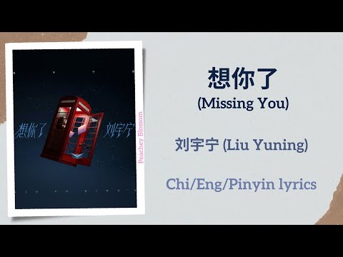想你了 Missing You 刘宇宁 Liu Yuning 单曲 Single Chi Eng Pinyin Lyrics 
