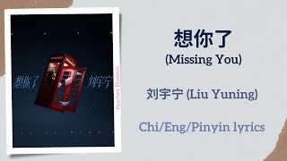 想你了 (Missing You) - 刘宇宁 (Liu Yuning)【单曲 Single】Chi/Eng/Pinyin lyrics