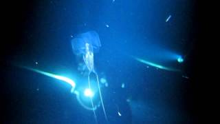 MVI 0756
