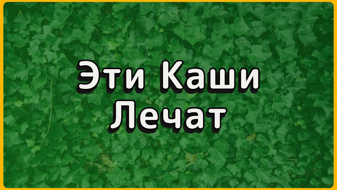5 каш долгожителей: они едят их каждое утро и живут до 100 лет