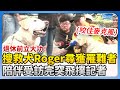 退休前立大功！搜救犬Roger尋獲第3名罹難者　陪伴受訪完突飛撲記者 @ChinaTimes