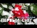 ОСЕНЬ...🍂  ПЕРВЫЙ СНЕГ ЗА ОКНОМ с музыкой лёгкой грусти 🎼 NEW MIX 2019