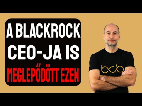 A BLACKROCK CEO-JA IS MEGLEPŐDÖTT EZEN [Részletek]