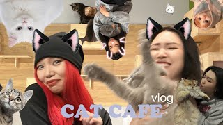 Мууранд майжуулсан шигээ л 🥲🐱🐈🐈‍⬛ (Ft. Riona)