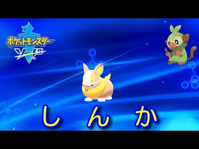 しんか ワンパチ ポケットモンスター ソード シールド Yamper Youtube