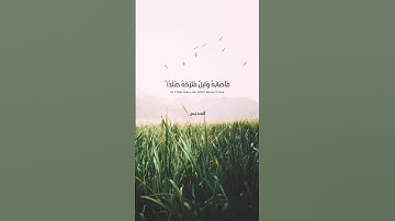 #القرآن_الكريم #سورة_البقرة #مقتطفات #لايك #اكسبلور