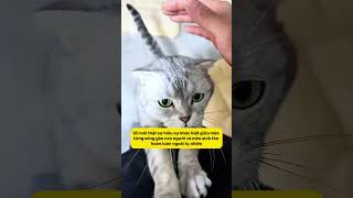 Lần Đầu Tiên Tôi Cảm Thấ...