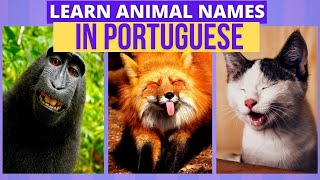 The Names of Animals in Portuguese | Learn Portuguese screenshot 4