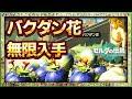 【ティアキン】バクダン花の効率的な入手方法!バクダン矢を無限に打ちまくれ!!【ゼルダの伝説ティアーズオブザキングダム】
