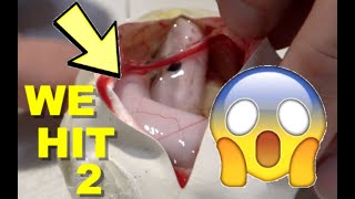 Last Possible Monsoon Clutch 2020!!!!!!