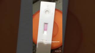 Live Pregnancy Test