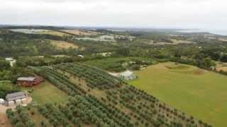 Swarm Uav - Gimbal Training