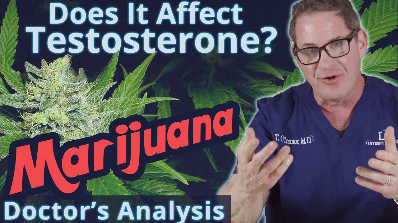Does Marijuana Affect Testosterone? Doctor's Analysis YouTube