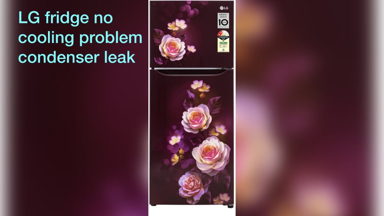 LG Refrigerator No Cooling Problem | Gas Leakage From Condenser | Step-by-Step Repair Guide