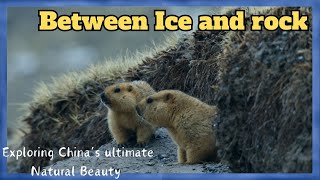 Between Ice And Rockexploring Chinas Ultimate Natural Beauty遇見最極致的中國Chinaqingzang Gaoyuan