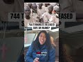 #breakingnews #nigeriangovernment #africannews #tiktoknigeria