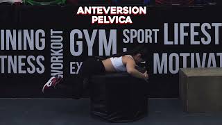 Anteversion Pelvica - Ejercicios