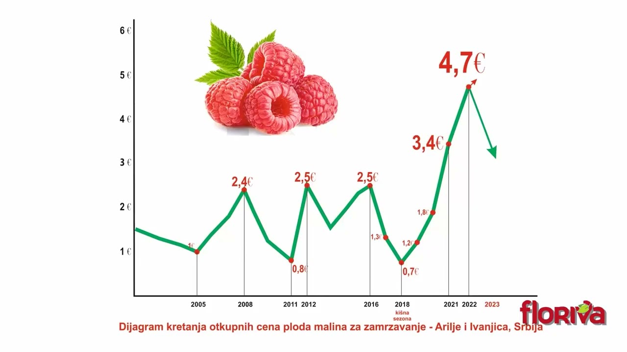 Zašto baš sad menjati stare zasade malina