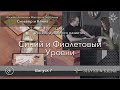 Синий и Фиолетовый уровни духовного развития