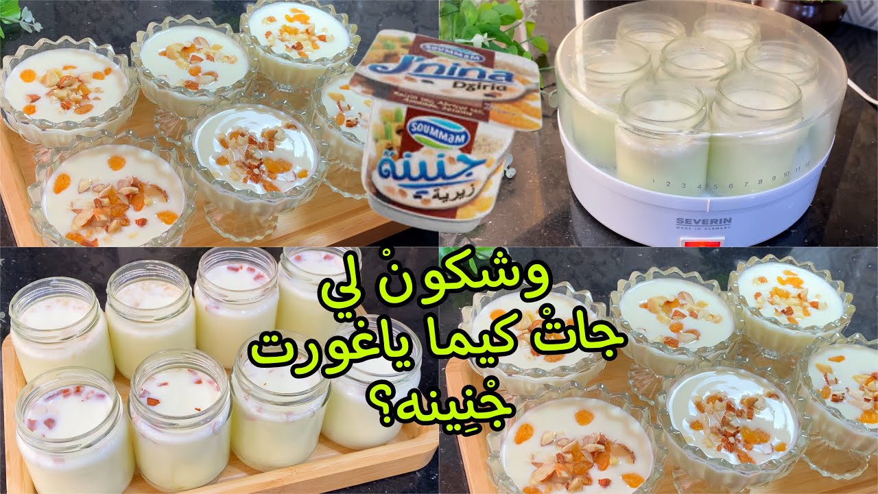 #من ليوم متزديش تشريهْ ياغورت جنينه ب2 طرق وبحليب شكارة فقط💯👌🏻