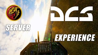 Growling sidewinder's server experience... | DCS World