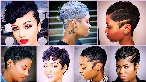 Video 2960151: cute american shorthair, african american