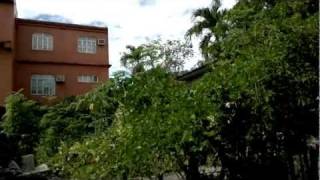nokia 701 test video