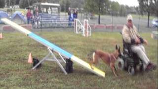 Gene Does Agility In Wheelchair Demo