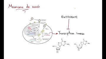 ENTECAVIR