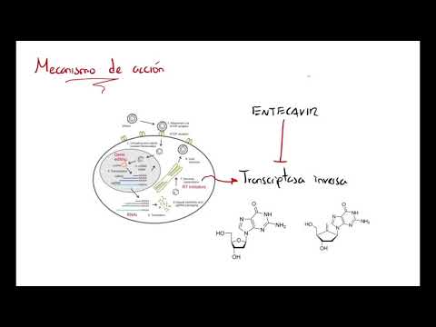 Vídeo: Entecavir Sandoz - Instruções De Uso, Revisões, 0,5 Mg, Preço