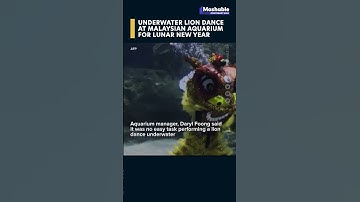 Thumbnail of Lunar New Year splash! Watch underwater lion dance at Aquaria KLCC 🦁🏮 #LNY #UnderwaterLionDance