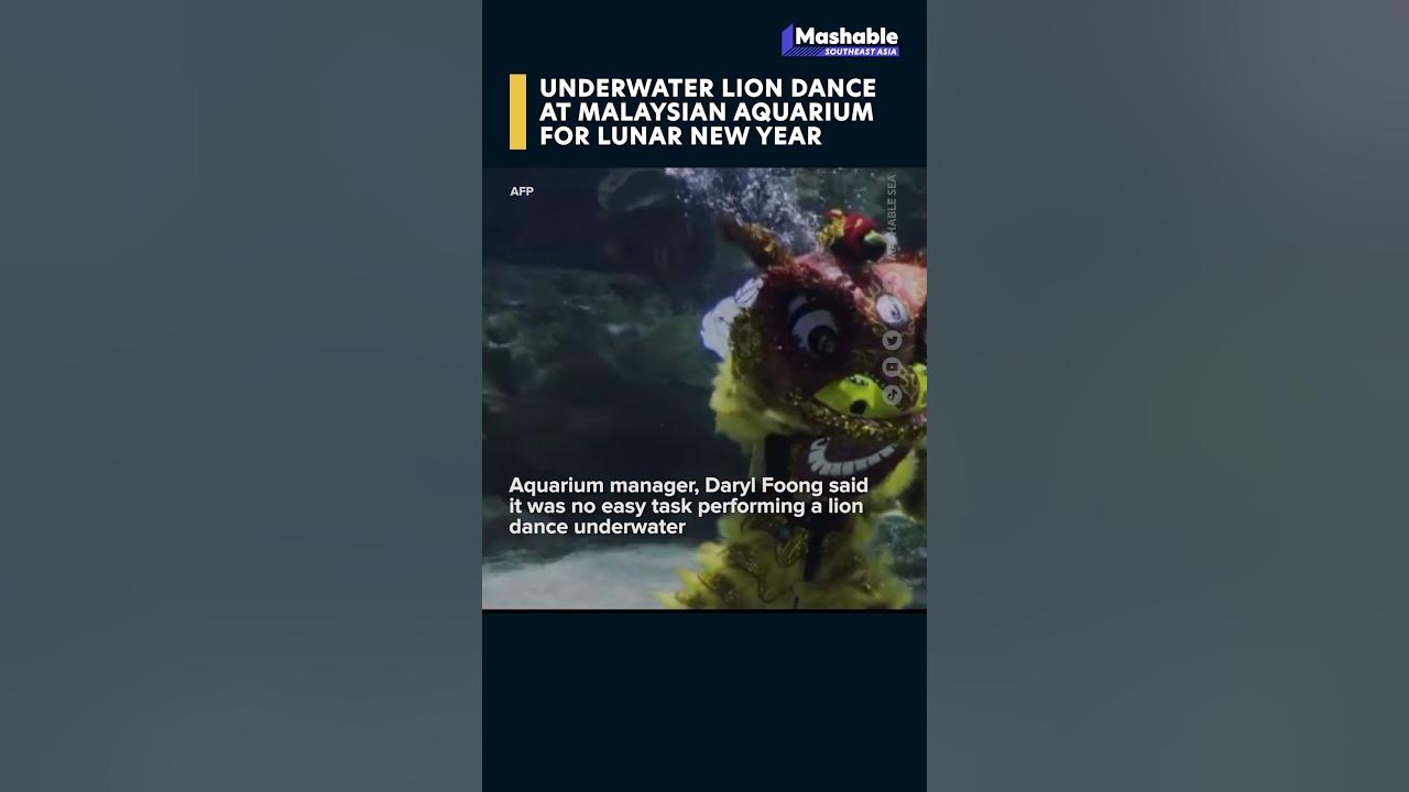 Lunar New Year splash! Watch underwater lion dance at Aquaria KLCC 🦁🏮 #LNY #UnderwaterLionDance