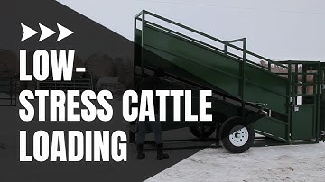 Cattle Loading Chute | Cattle Equipment | Demo