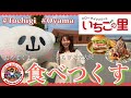 栃木県「いちごの里」最新グルメを食べ尽くす!
