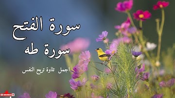"سورة الفتح سورة طه