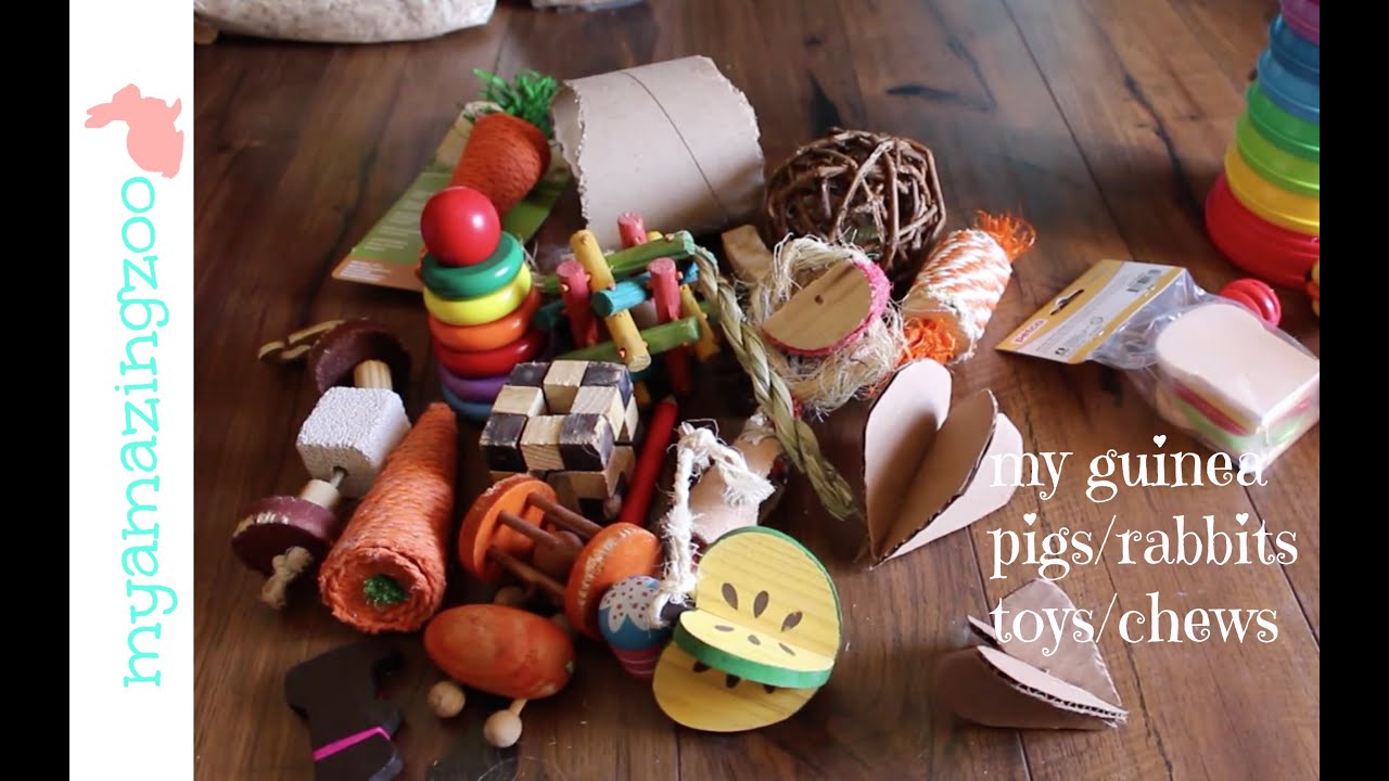 My guinea pigs/rabbit toys/chews - YouTube