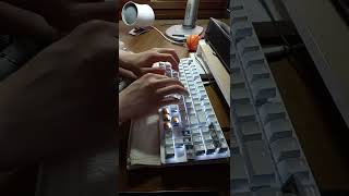 레이저 블랙위도우 라이트 레이저오렌지축 (순정) 타건 Razer BlackWidow Lite Razer Orange (Stock) Sound Test screenshot 3