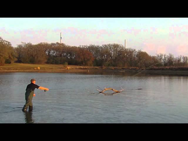 Fly Fishing: How to fish a Popper-Dropper for crappie and bass 