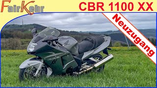 HONDA CBR1100XX Super Blackbird - Fuhrparkerweiterung