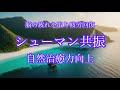 【528Hz+7.92Hzシューマン共振】頭痛・肩こり・腰痛・神経痛緩和、自然治癒力UP