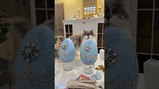 Nem tudok választani 👀 #diy #easter #homedecor #diy #painting