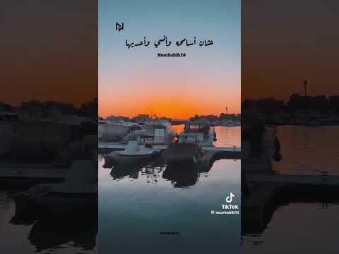اليسا هيلف يلف ويرجعلي هشتاج اليسا اكسبلور تصميمي