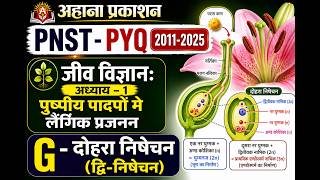 G - दोहरा निषेचन (द्वि-निषेचन)