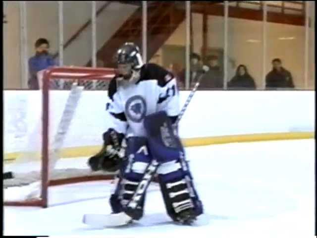 Screech the Falcon - The Springfield Falcons Mascot — Weasyl