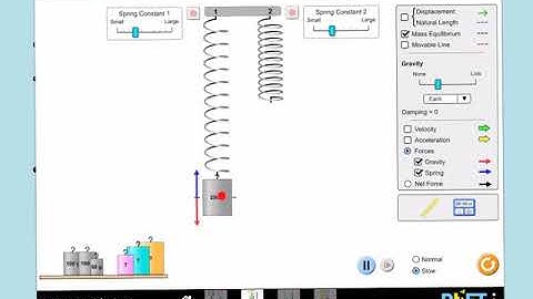 Using Phet simulation to explain the motion of mass on a spring using the individual forces