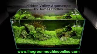 Hidden Valley Aquascape The Green Machine