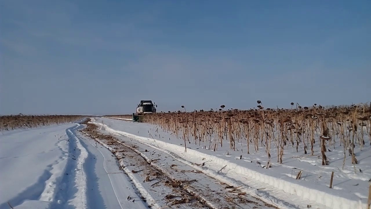 Комбайн на гусеницах Вектор уборка по снегу - YouTube