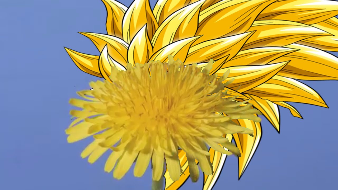 DandyLineZ - YouTube