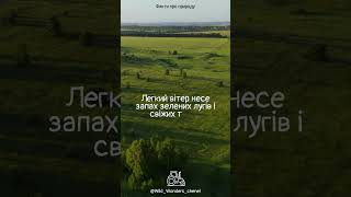 Аромат свіжоскошеної трави. #трава #аромат #природа #літо #спокій #затишок #гармонія #shorts